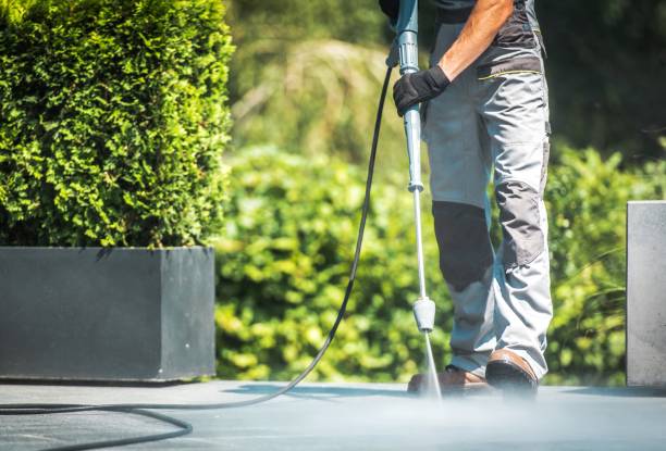 Best Animal Enclosure Cleaning  in Wedgefield, FL