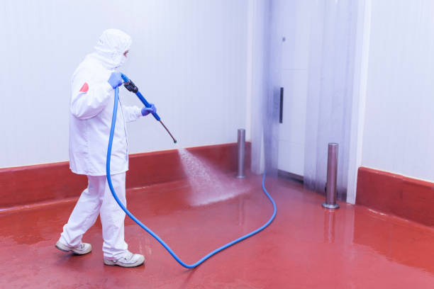 Wedgefield, FL Pressure Washing Services Company